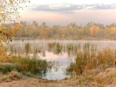 Morning mist over a quiet lake representing calm start